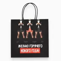 Пакеты подарочные &laquo;Весёлый Новый год&raquo;, набор 5 шт., 23&times;27&times;11.5 см