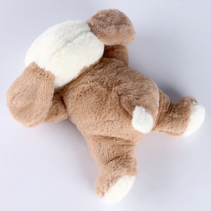 Мягкая игрушка «Собачка», 22 см, цвет бежевый Мягкая игрушка «Собачка», 22 см, цвет бежевый