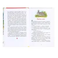 Книга &laquo;Рассказы и сказки для детей&raquo;, Паустовский К.Г., внеклассное чтение
