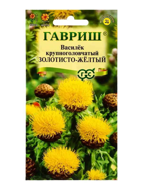 Семена цветов Василек Золотисто-желтый, крупноголовчатый, многолетний 0.2 г