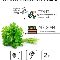 Семена петрушка листовая «Богатырь», 2 г