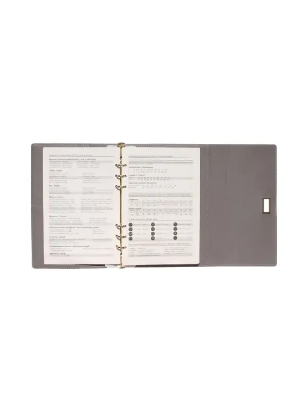 Органайзер на кольцах, А5, с клапаном, 80л, линия, к/зам, с ручкой, Серый Органайзер на кольцах, А5, с клапаном, 80л, линия, к/зам, с ручкой, Серый