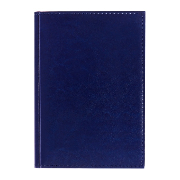 Ежедневник недатированный А5, 160 листов  Ежедневник недатированный А5, 160 листов "Небраска", обложка искусственная кожа, перфорация углов, синий