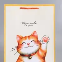 Пакет подарочный "Позитива и удачи" ламинированный 26 х 12 х 32 см