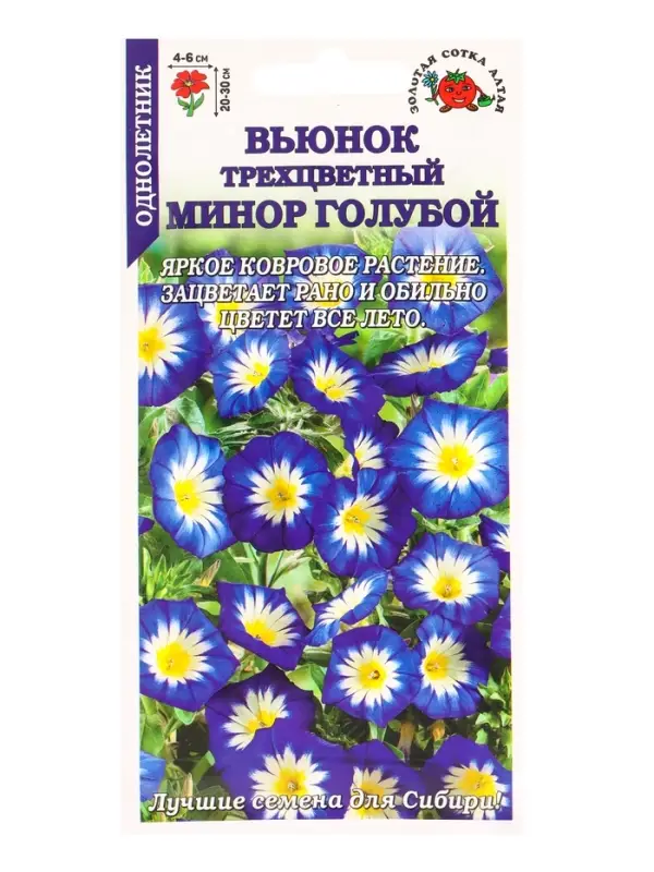 Семена Вьюнок Минор Голубой /Сотка/ 0,5г/ трехцветн. h-20-30см d-4-6см /*900