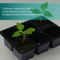 Кассета для рассады, 6 ячеек по 120 мл, пластик, чёрная, 18&times;13&times;6 см, набор 10 шт., Greengo