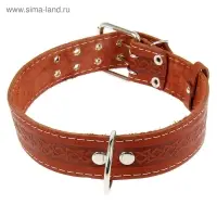 Ошейник однослойный, 73&times;4.5 см, ОШ 51-65 см, кожа, МИКС