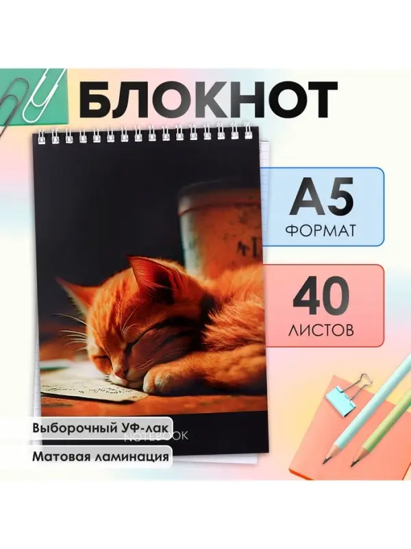Блокнот А5, 40 листов в клетку на гребне &laquo;Соня&raquo;, обложка мелованный картон, матовая ламинация, выборочный УФ-лак, блок офсет