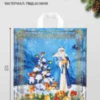Пакет &laquo;Новогодние чудеса&raquo;, полиэтиленовый с петлевой ручкой, 40&times;43 см, 60 мкм