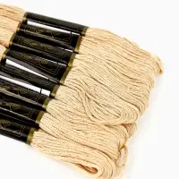 Нитки мулине Bestex, бежевый цвет (803), 24 шт. в уп.