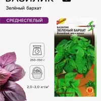 Семена Базилик &laquo;Зеленый Бархат&raquo;, 120 шт., select
