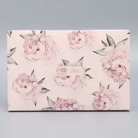 Коробка кондитерская для муссовых пирожных &laquo;С любовью&raquo;, 27&times;17.8&times;6.5 см