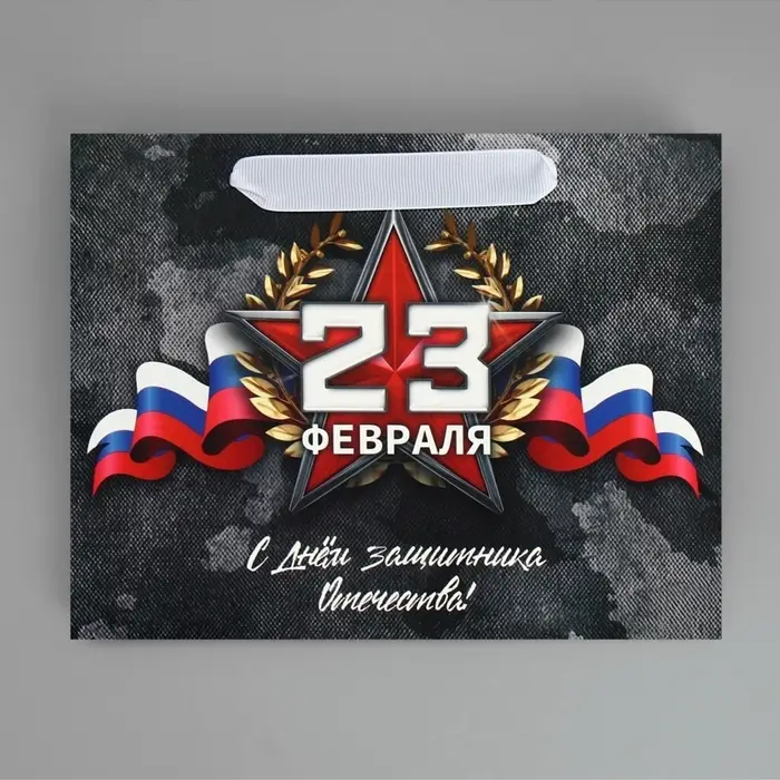 Пакет подарочный ламинированный, упаковка, &laquo;23 февраля&raquo;, MS 23&times;18&times;10 см