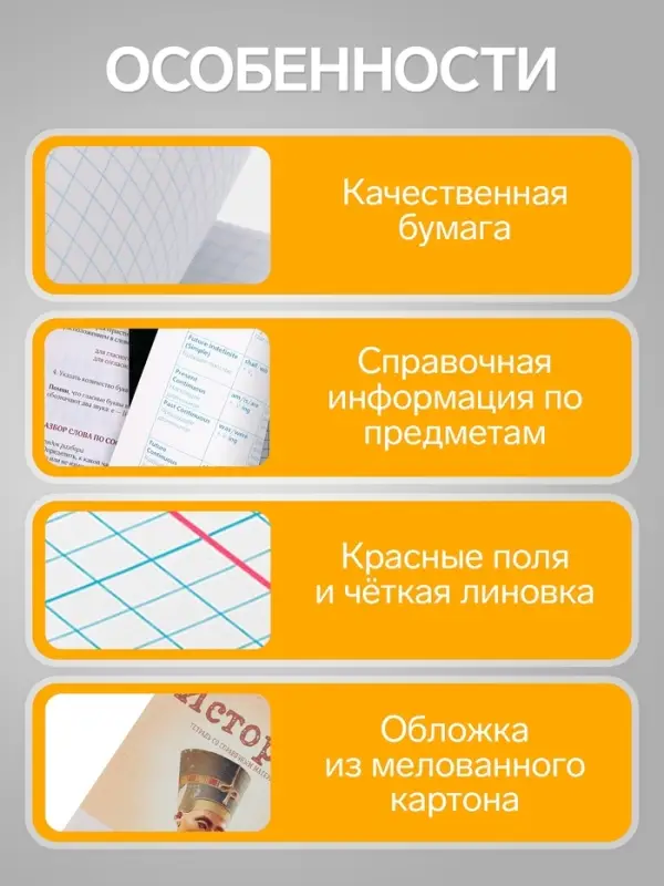 Предметная тетрадь по истории Calligrata &laquo;Предметы&raquo;, 36 листов, в клетку, со справочным материалом, обложка из мелованного картона
