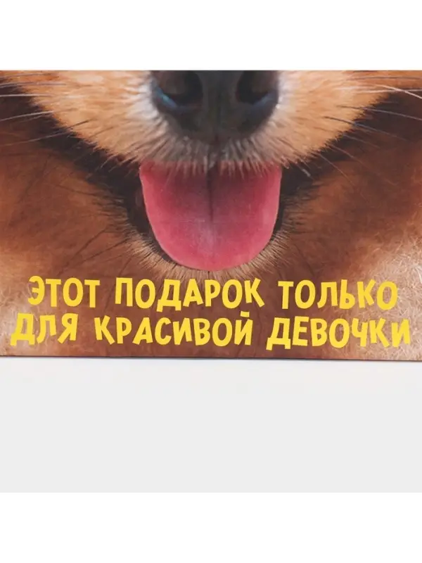 Пакет подарочный, упаковка, &laquo;Подарочек&raquo;, 22&times;22&times;11 см