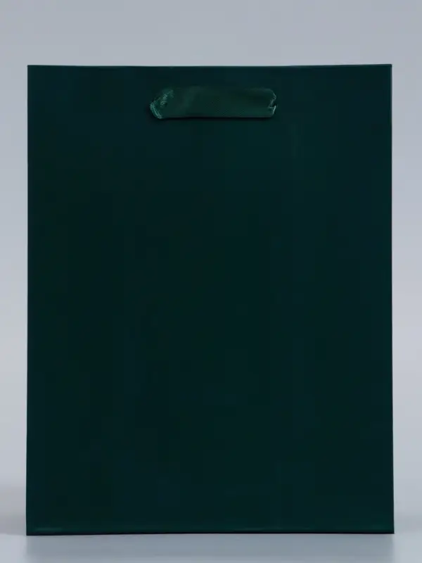 Пакет подарочный ламинированный, упаковка, &laquo;Изумрудный&raquo;, MS 18&times;23&times;10 см