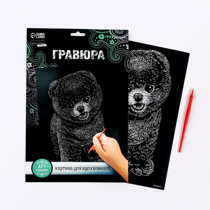 Гравюра на подложке «Шпиц» с металлическим эффектом «серебро» А4 Гравюра на подложке «Шпиц» с металлическим эффектом «серебро» А4