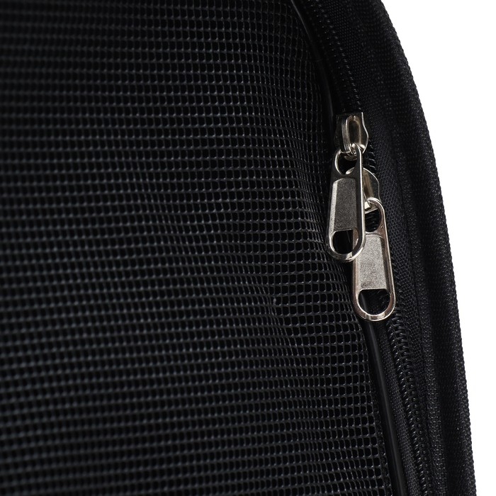 Сумка - переноска для животных Камуфляж, размер L, 53 х 22 х 29 см Сумка - переноска для животных Камуфляж, размер L, 53 х 22 х 29 см