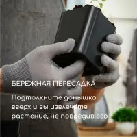 Горшок для рассады, 800 мл, 9&times;9&times;12.5 см, пластик, МИКС, Greengo