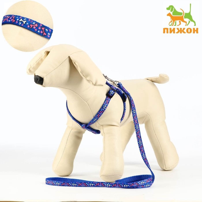 Комплект  Комплект "Звёздные косточки", ширина 1 см, поводок 120 см, шлейка 23-35 см, синий