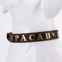 Ошейник &laquo;Красавчик&raquo;, 60&times;2.5 см, однослойный, тиснение фольгой, кожа, цвет МИКС