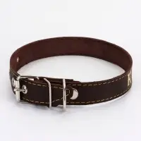 Ошейник однослойный "Красотка", 2.5 см, тиснение фольгой, микс цветов Ошейник однослойный "Красотка", 2.5 см, тиснение фольгой, микс цветов