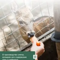 Сетка сварная с ПВХ покрытием, 10&times;0.5 м, ячейка 50&times;50 мм, d=1 мм, металл, Greengo