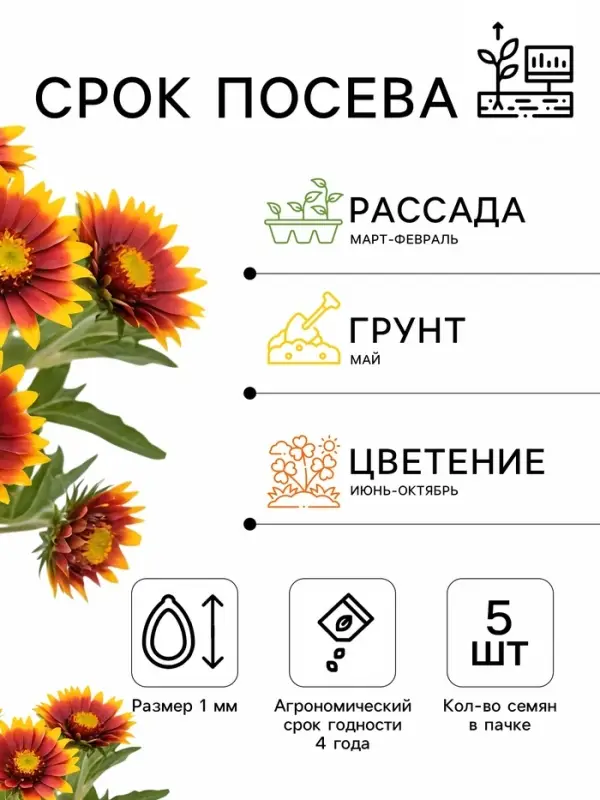 Семена цветов Гацания блестящая &laquo;Гибридная Солнечная&raquo;, смесь сортов, 5 шт., однолетник, &laquo;Аэлита&raquo;