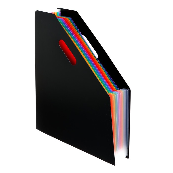 Лоток вертикальный для бумаг А4, пластик, 13 отделений, чёрный Лоток вертикальный для бумаг А4, пластик, 13 отделений, чёрный