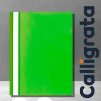 Папка-скоросшиватель Calligrata, А4, 120 мкм, салатовая, прозрачный верх