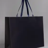 Пакет подарочный ламинированный горизонтальный &laquo;Синий&raquo;, 48&times;39&times;16 см