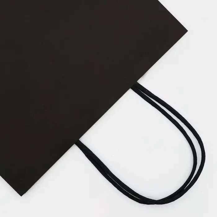 Пакет крафт «Радуга», чёрный, 22×13×32 см, 80 г/м², 1 шт.