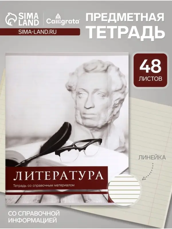 Предметная тетрадь по литературе Calligrata &laquo;Чёрное-белое&raquo;, 48 листов, в линейку, со справочным материалом, бумажная обложка