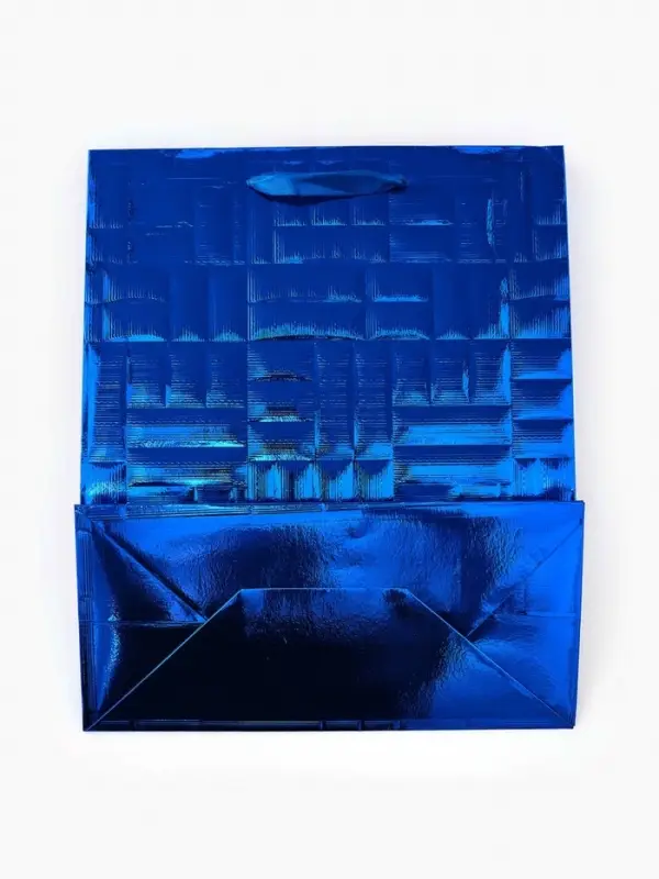 Набор подарочных пакетов «Новый год», 2 шт,  25,4 × 30,5 × 12,7 см