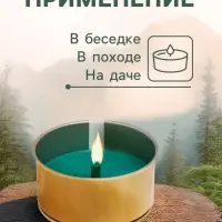 Ароматическая свеча уличная антимоскитная, 10&times;4.5 см, 120 г, 6 ч, хвоя, зелёный