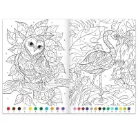 Раскраски по номерам &laquo;Для девочек&raquo;, набор 4 шт., по 16 стр.