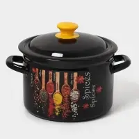 Кастрюля эмалированная &laquo;Карри&raquo;, 4 л, d=21.3 см, с крышкой, чёрная