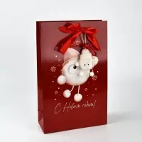 Пакет подарочный «Новогодний сюрприз», с заколками, 25,5 × 9 × 30 см Пакет подарочный «Новогодний сюрприз», с заколками, 25,5 × 9 × 30 см