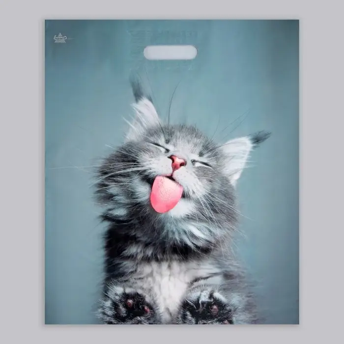 Пакет «Кот», полиэтиленовый, с вырубной ручкой, 38×45 см, 60 мкм Пакет «Кот», полиэтиленовый, с вырубной ручкой, 38×45 см, 60 мкм