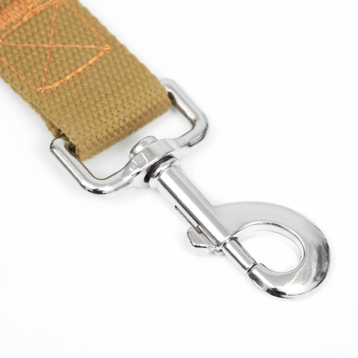 Поводок брезентовый, 2,7 м х 3 см, песочный Поводок брезентовый, 2,7 м х 3 см, песочный