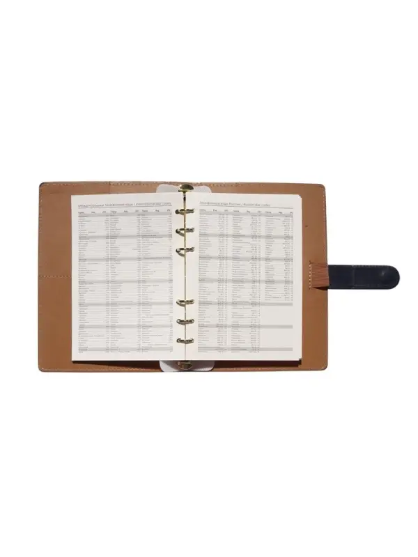 Органайзер на кольцах, C6, с хлястиком, 80л, линия, к/зам, Синий Органайзер на кольцах, C6, с хлястиком, 80л, линия, к/зам, Синий