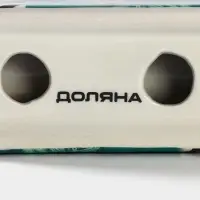 Салфетница Доляна &laquo;Тропики&raquo;, 9.8&times;4.5&times;6.2 см