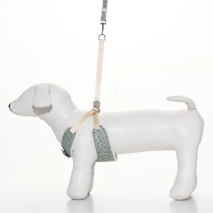 Комплект с мягкой шлейкой  Комплект с мягкой шлейкой "Веточки", размер S, поводок 120  х 1,5 см, ОГ 28-62 см, зеленый