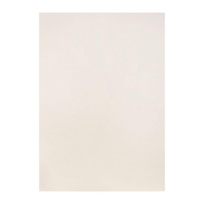 Бумага для пастели А3, 10 листов,  Бумага для пастели А3, 10 листов, "Пейзаж", бумага слоновая кость, ГОЗНАК, тиснение "скорлупа", блок 200 г/м2, в папке