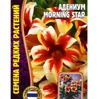Семена цветов Адениум Morning Star 3 шт.   12.29 г.