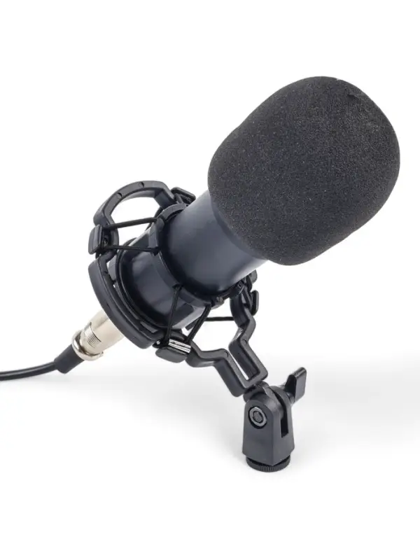 Микрофон конденсаторный Music Life черный: кабель, ветрозащита, стойка