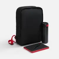 Набор Flexpen Travel, черный с красным