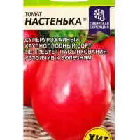 Семена Томат &laquo;Настенька&raquo;, детерминантный, низкорослый, 0.05 г, &laquo;Семена Алтая&raquo;