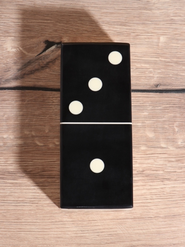 Настольная игра  Настольная игра "Домино" 18,5х7,5х4 см, смола, дерево