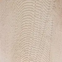 Панцирь каракатицы для птиц, 13-15 см, белый